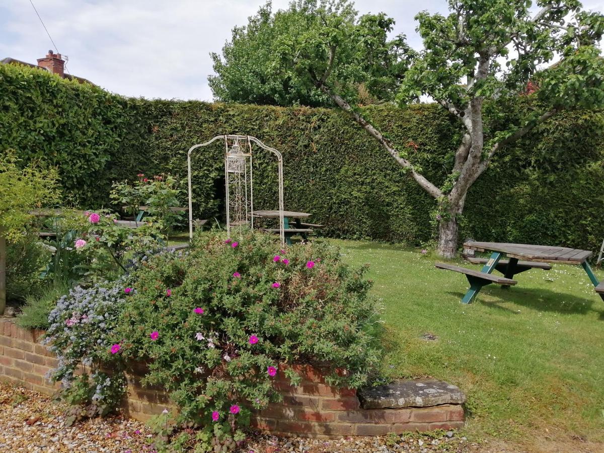 The Willows Shillingstone Εξωτερικό φωτογραφία